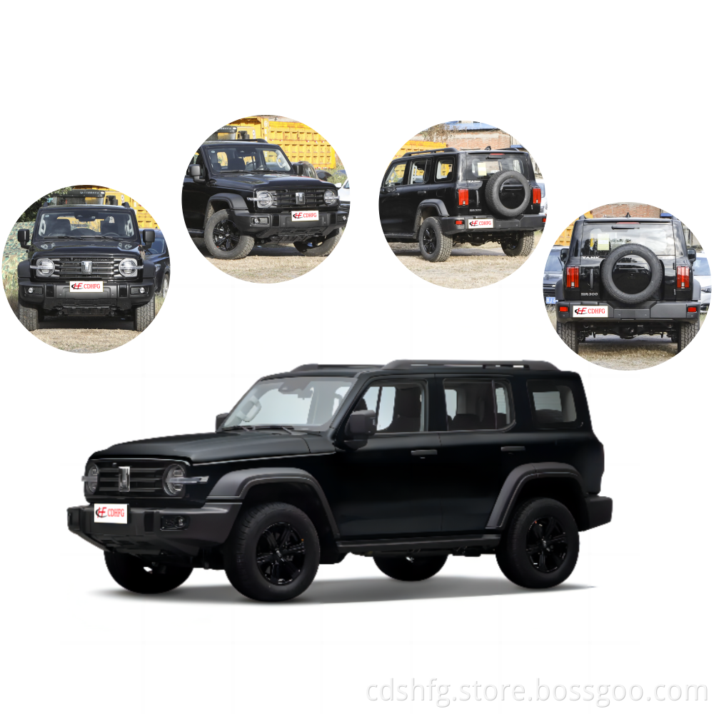 Changcheng Great Wall Tank 300 SUV Vehicle Cars Used Cars SUV 2.0T 2023 Compact Suv Sedan New Cars China Sale